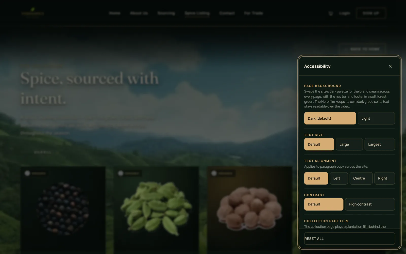 The accessibility panel with theme, text size, contrast, dyslexia-friendly font and motion options.